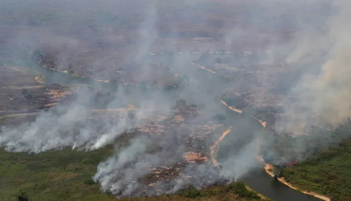 2020-08-29t085123z-34585098-rc2kni9jj90c-rtrmadp-3-brazil-environment-fires