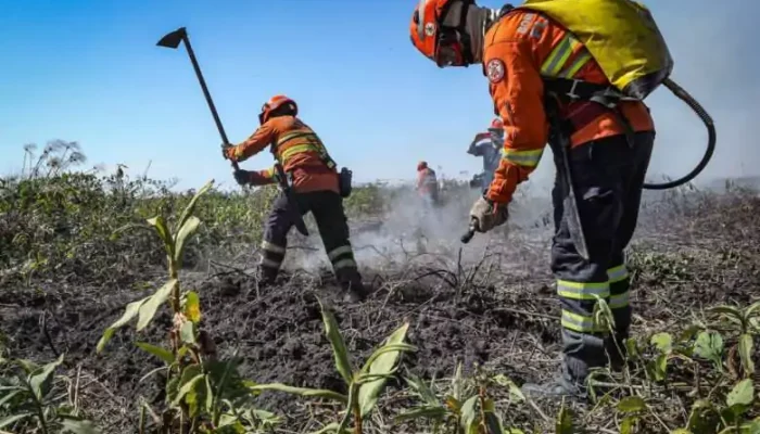 Foto: Corpo de bombeiros