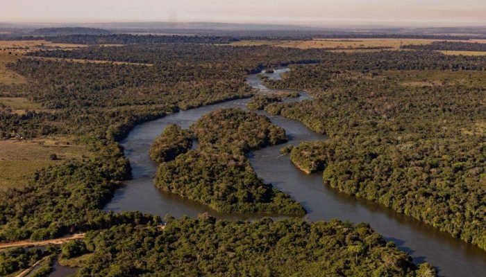 Mato-Grosso-reduz-em-51-o-desmatamento-na-Amazonia-em-um-ano