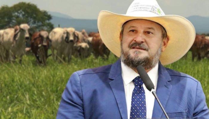 Produtores-de-leite-do-Mato-Grosso-agronews-1-1140x570