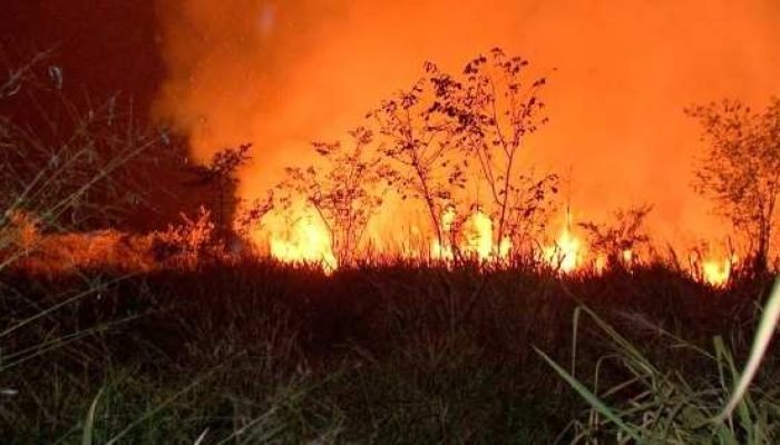 Foto: TVCA/Reprodução