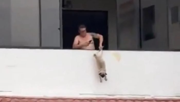 Reprodução/Redes sociais