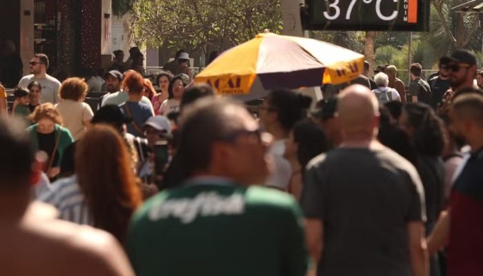 rua20240901007